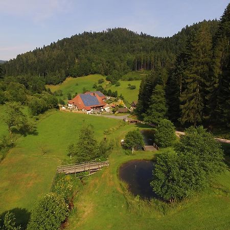 Muellerjoergenhof Daire Gutach Dış mekan fotoğraf
