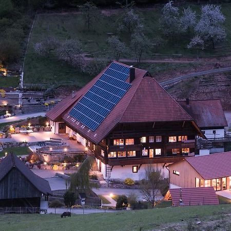 Muellerjoergenhof Daire Gutach Dış mekan fotoğraf