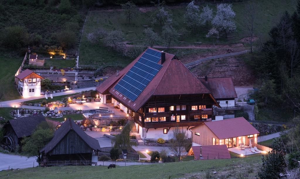 Muellerjoergenhof Daire Gutach Dış mekan fotoğraf