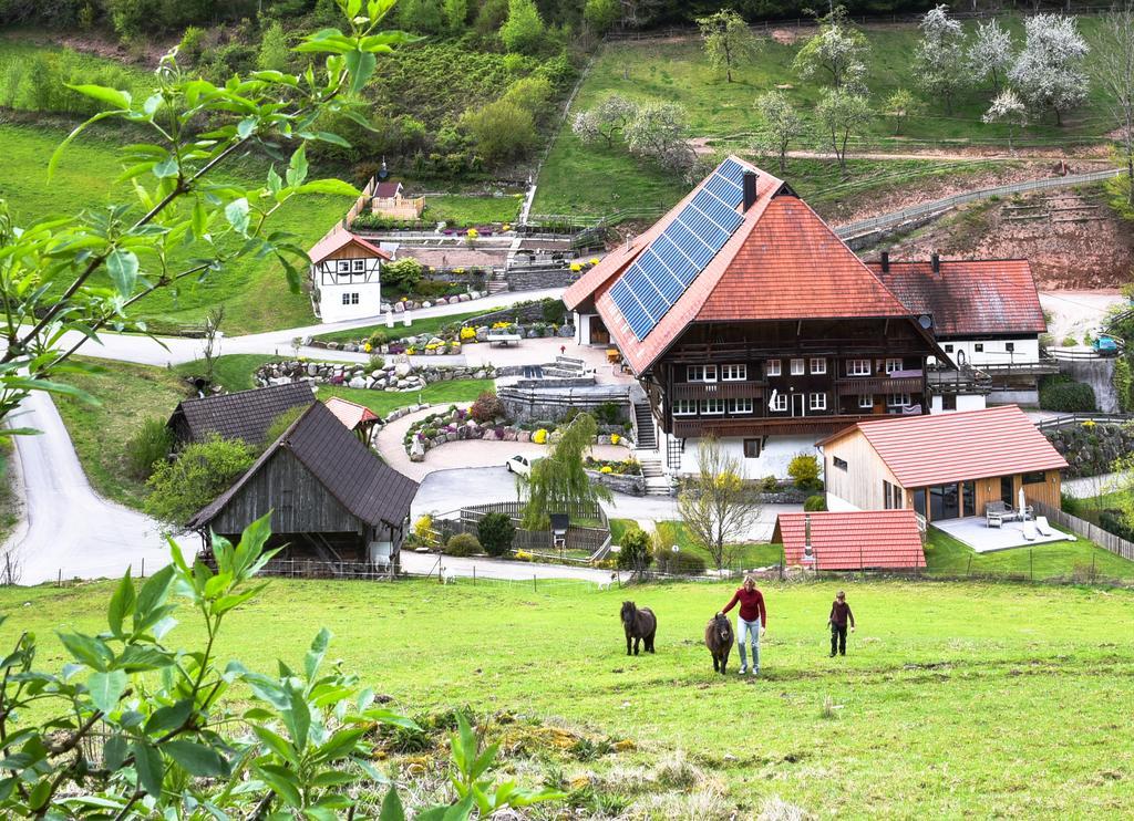 Muellerjoergenhof Daire Gutach Dış mekan fotoğraf