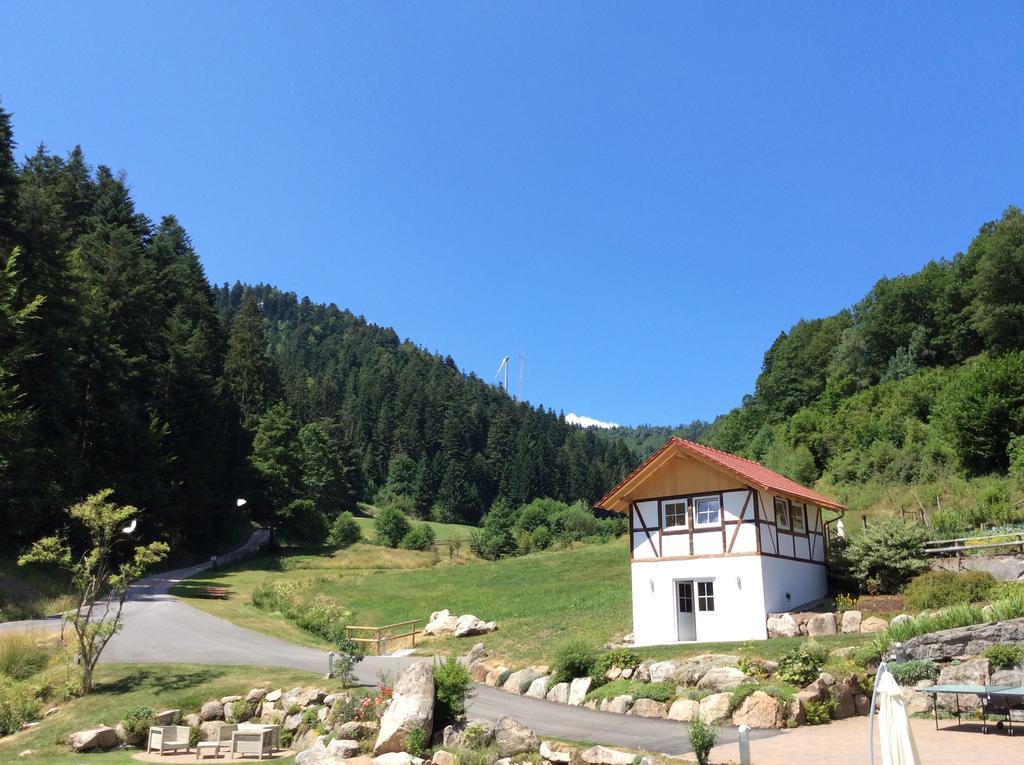 Muellerjoergenhof Daire Gutach Dış mekan fotoğraf